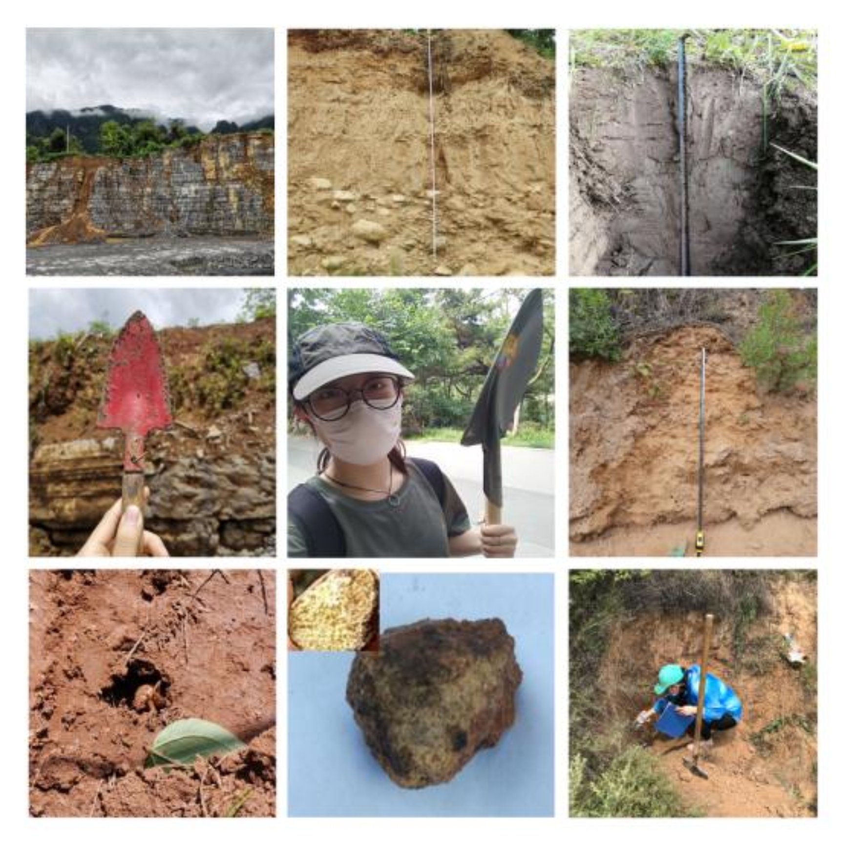 自主实习土壤集锦.jpg 自主实习土壤集锦.jpg