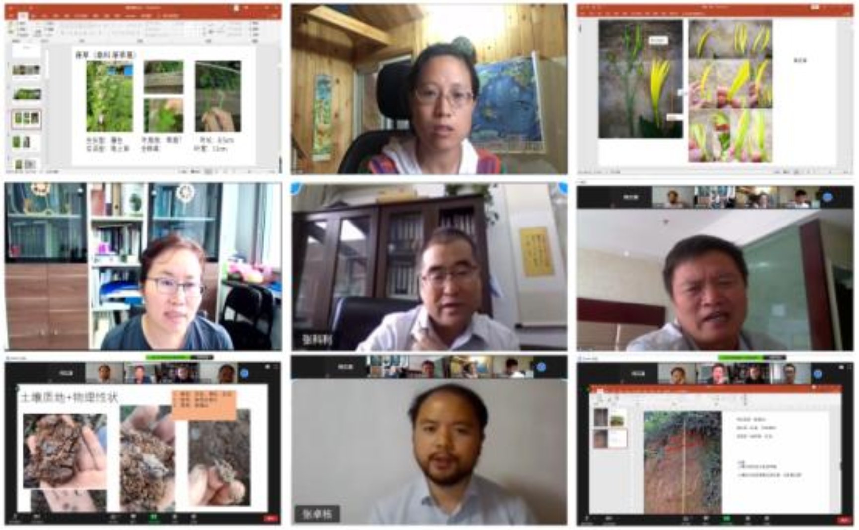 Zoom集中答疑.jpg Zoom集中答疑.jpg